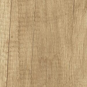 H3331 ST10 Natúr Nebraska tölgy